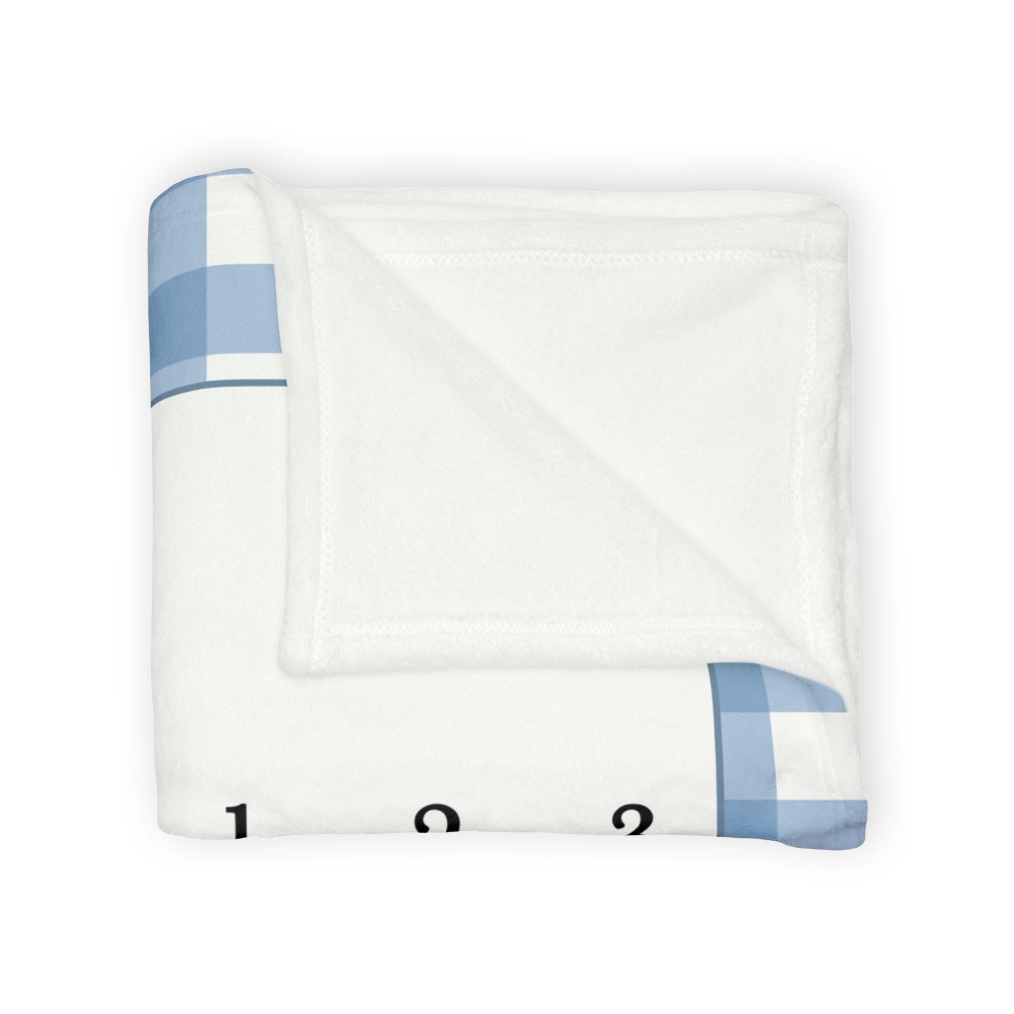 Personalized Blue Gingham Teddy Bear Baby Milestone Blanket, First Year Photo Prop, Month Blanket Boy